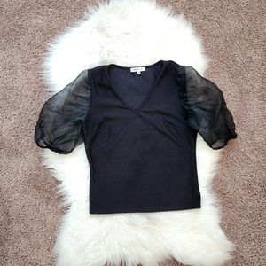 Sheer Poofy Sleeve Blouse